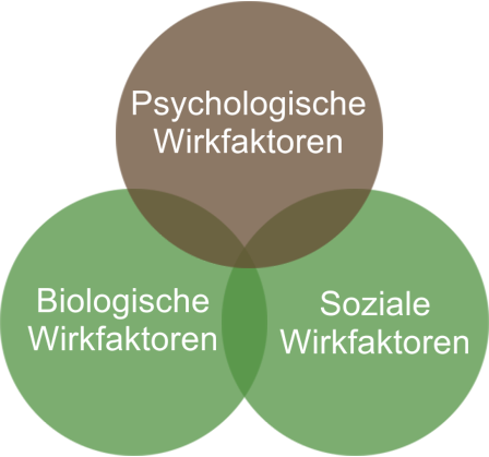 psychotherapie